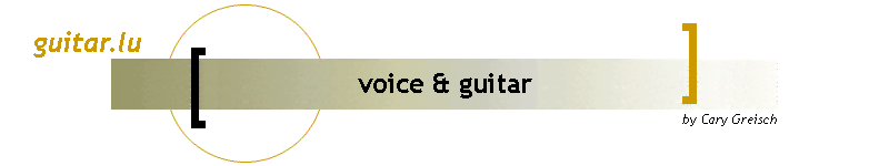 voice & guitar